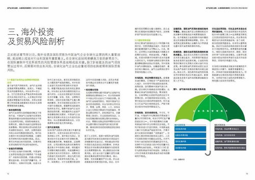 德勤視角 油氣行業(yè)在“十四五”期間海外投資與國際貿(mào)易的風(fēng)險(xiǎn)把控策略